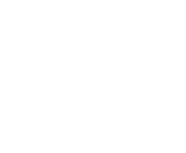 pier-vier-logo