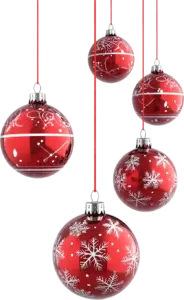 473555c7-9707-40d8-9bac-dcd0a97190ee-68b8733b319ab (1)