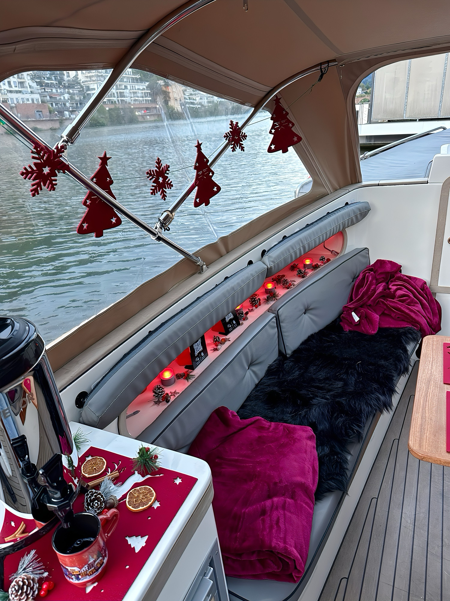 IMG_2858(3) Bootsfahrt Winter jetzt neu bei Bootsfahrt Heidelberg!